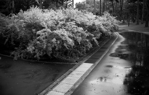 Uber Exif Photo
