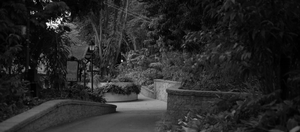Uber Exif Photo