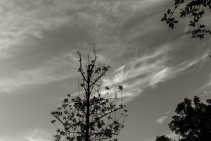 Uber Exif Photo