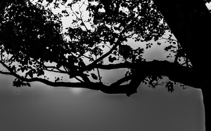 Uber Exif Photo
