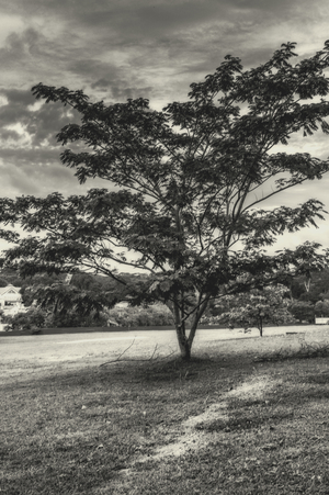 Uber Exif Photo