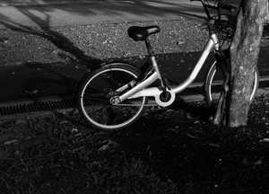 Uber Exif Photo