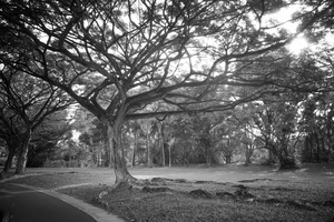 Uber Exif Photo