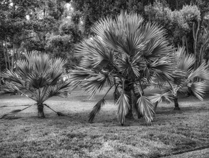 Uber Exif Photo