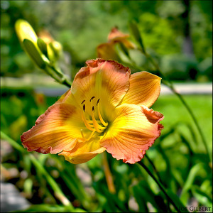 Uber Exif Photo