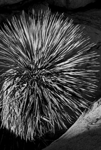 Uber Exif Photo