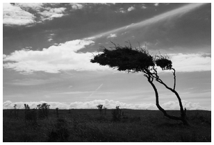 Uber Exif Photo