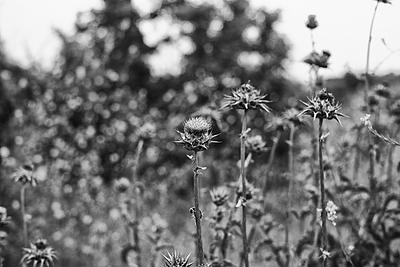 Uber Exif Photo