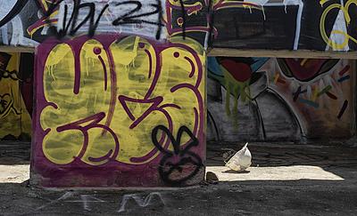 Uber Exif Photo