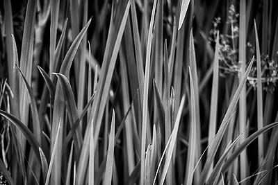 Uber Exif Photo