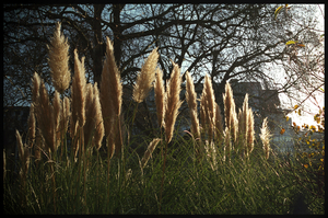 Uber Exif Photo