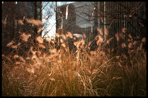 Uber Exif Photo