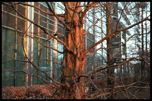 Uber Exif Photo