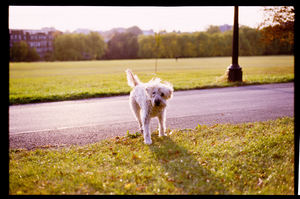 Uber Exif Photo
