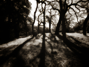 Uber Exif Photo