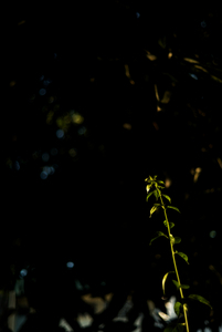 Uber Exif Photo