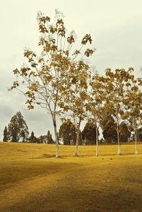 Uber Exif Photo