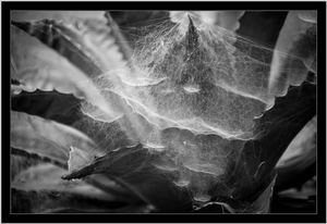 Uber Exif Photo