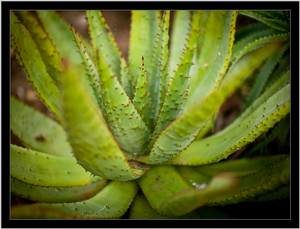 Uber Exif Photo
