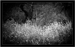 Uber Exif Photo