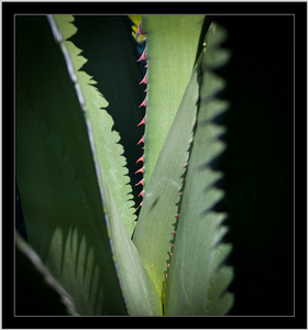 Uber Exif Photo