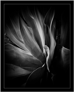 Uber Exif Photo