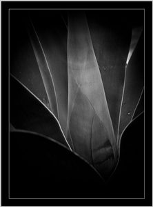 Uber Exif Photo