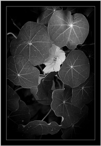 Uber Exif Photo