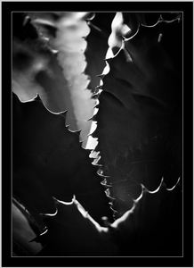 Uber Exif Photo