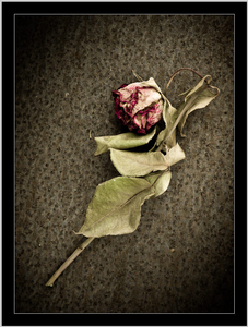 Uber Exif Photo