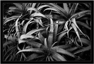 Uber Exif Photo