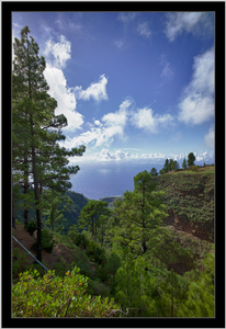 Uber Exif Photo