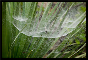 Uber Exif Photo
