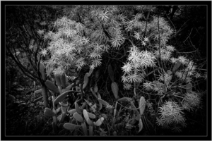 Uber Exif Photo