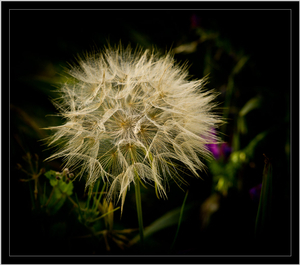 Uber Exif Photo