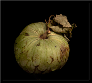 Uber Exif Photo