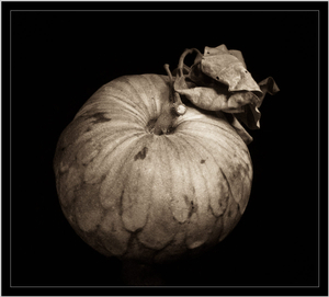 Uber Exif Photo