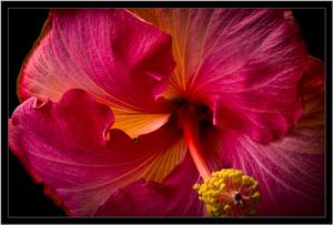 Uber Exif Photo