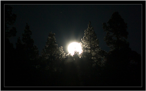 Uber Exif Photo