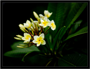 Uber Exif Photo