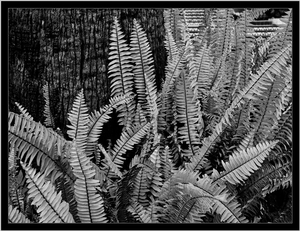 Uber Exif Photo