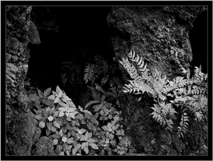 Uber Exif Photo