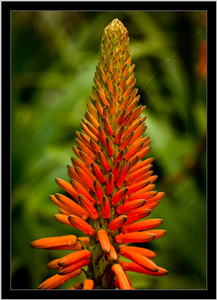 Uber Exif Photo