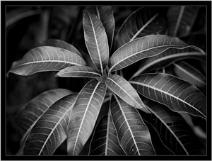 Uber Exif Photo