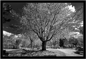 Uber Exif Photo