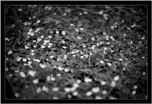Uber Exif Photo