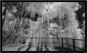 Uber Exif Photo