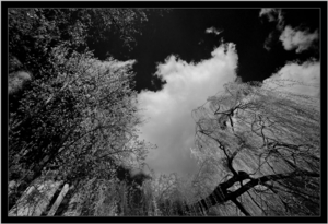 Uber Exif Photo