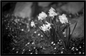Uber Exif Photo
