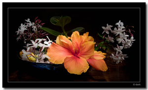 Uber Exif Photo